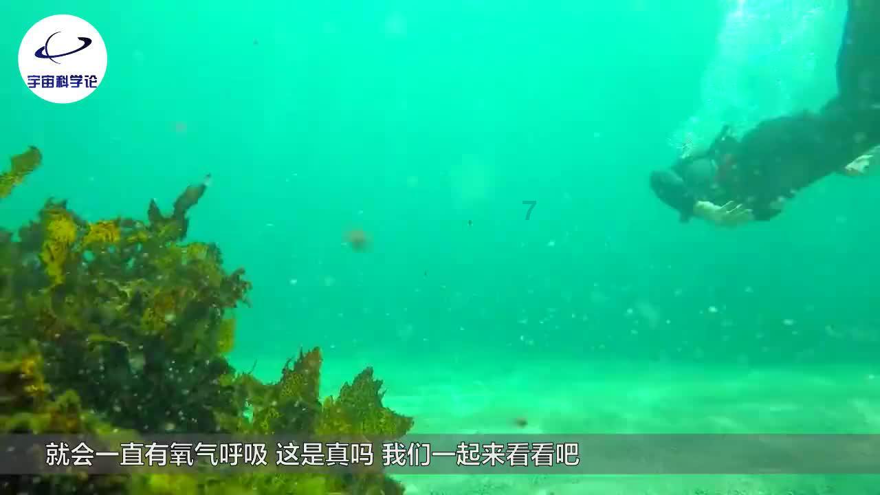 救援修女