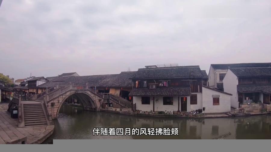 这是我的战争